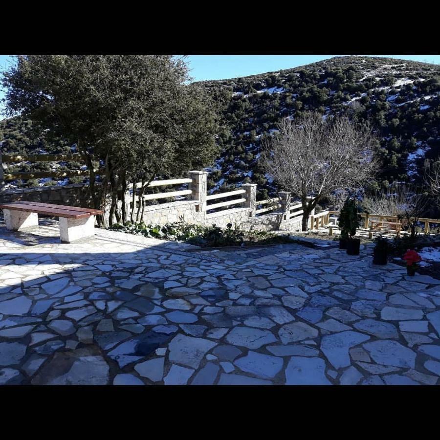 Villa Agno - Βίλα Αγνώ Ano Karies 外观 照片