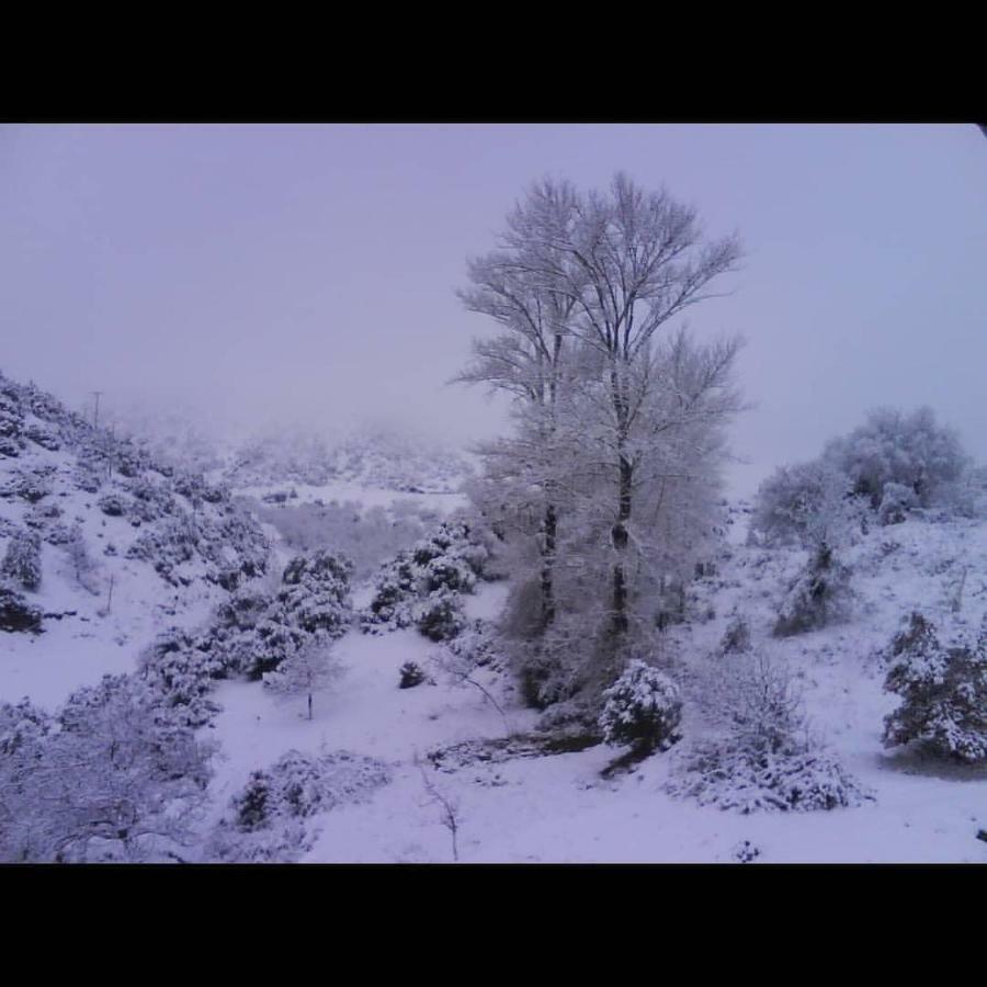 Villa Agno - Βίλα Αγνώ Ano Karies 外观 照片